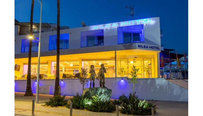 Milea Hotel poza 3
