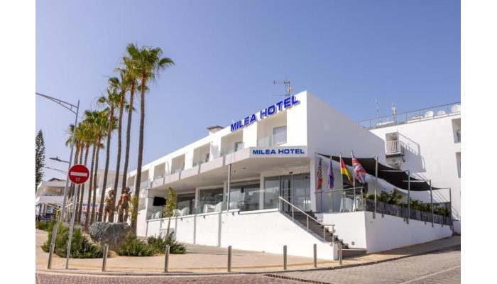 Milea Hotel poza 2
