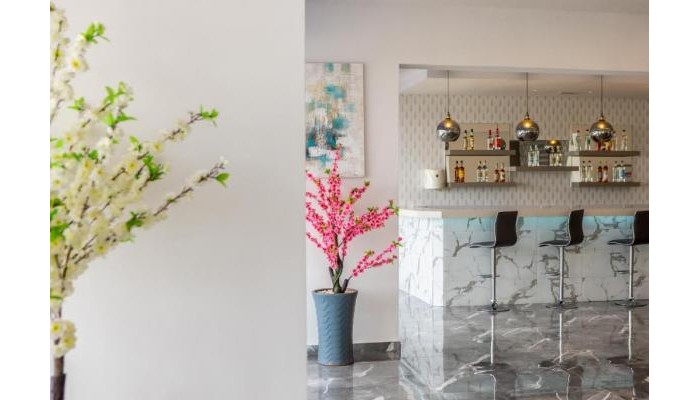 Milea Hotel poza 10