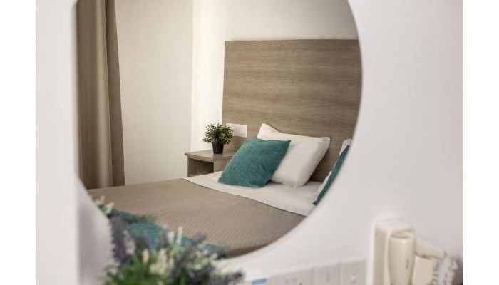 Milea Hotel poza 7