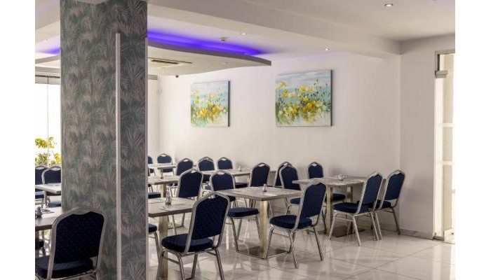 Milea Hotel poza 12