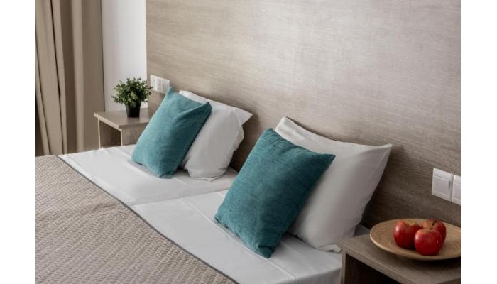 Milea Hotel poza 8