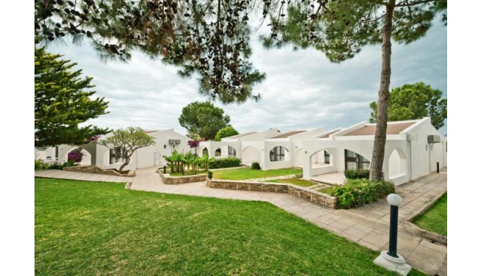 The Olive Tree Hotel poza 16
