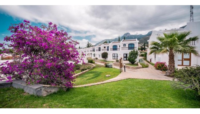 The Olive Tree Hotel poza 15