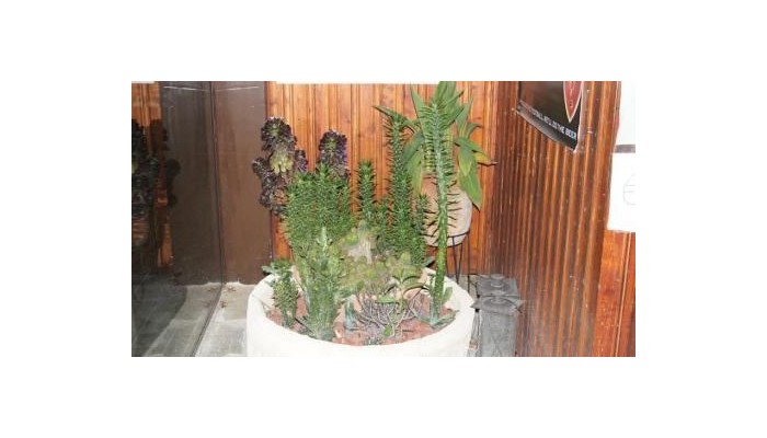 Antonis G. Hotel Apartments poza 38