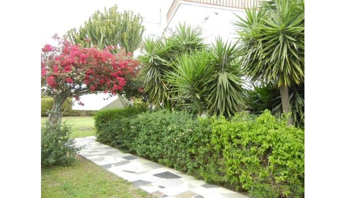 Tsialis Hotel Apartments poza 20