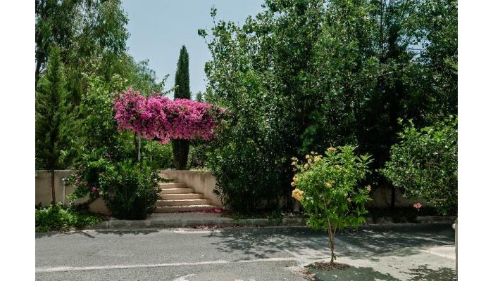 Artemis Cynthia Complex poza 7