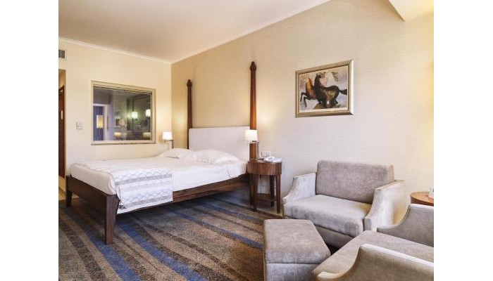 Hotel Alexander The Great Beach poza 6