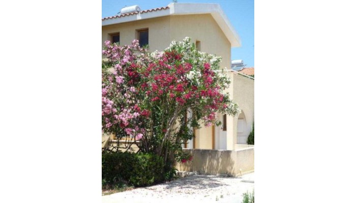 Hotel Natura Beach Villas poza 2